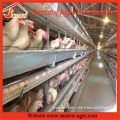 H type 5 tier chicken cage poultry cages design layer chicken cages for kenya hen farm